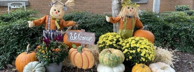 fall